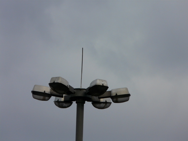 P1060310.JPG