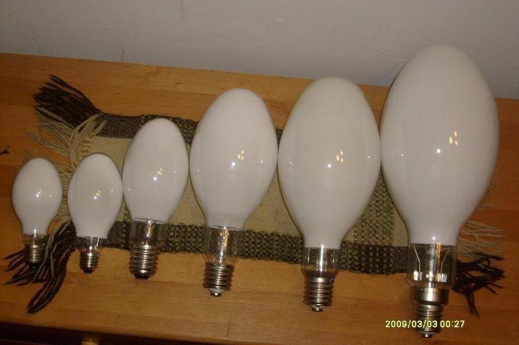 S6300180.JPG