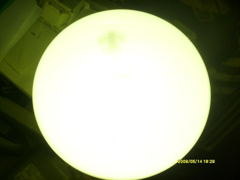 S6300200.JPG