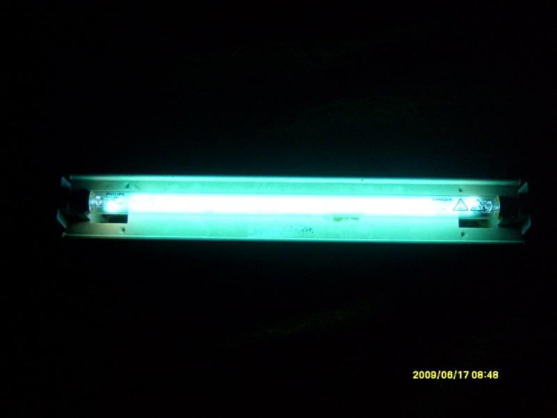 S6300200.JPG