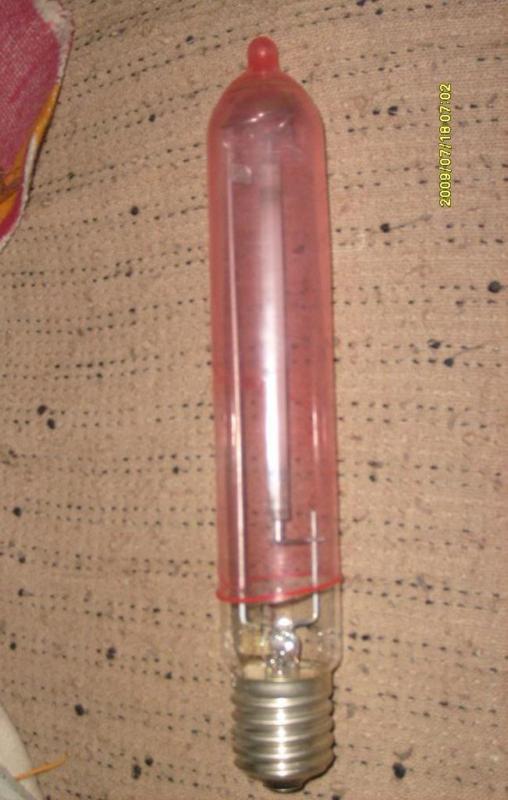 S6300206.JPG