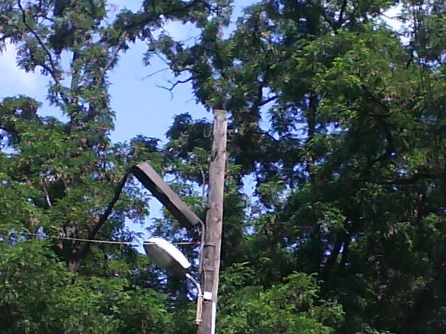 DSC00016.jpg