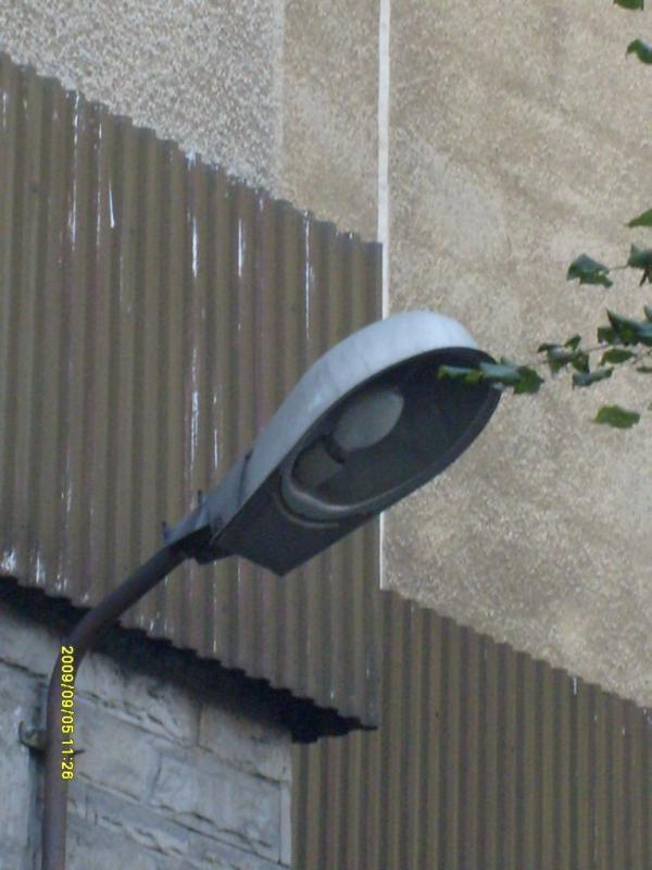S6300236.JPG