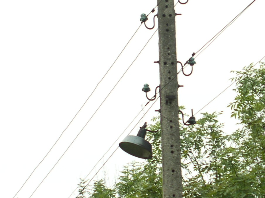 P9010034.jpg