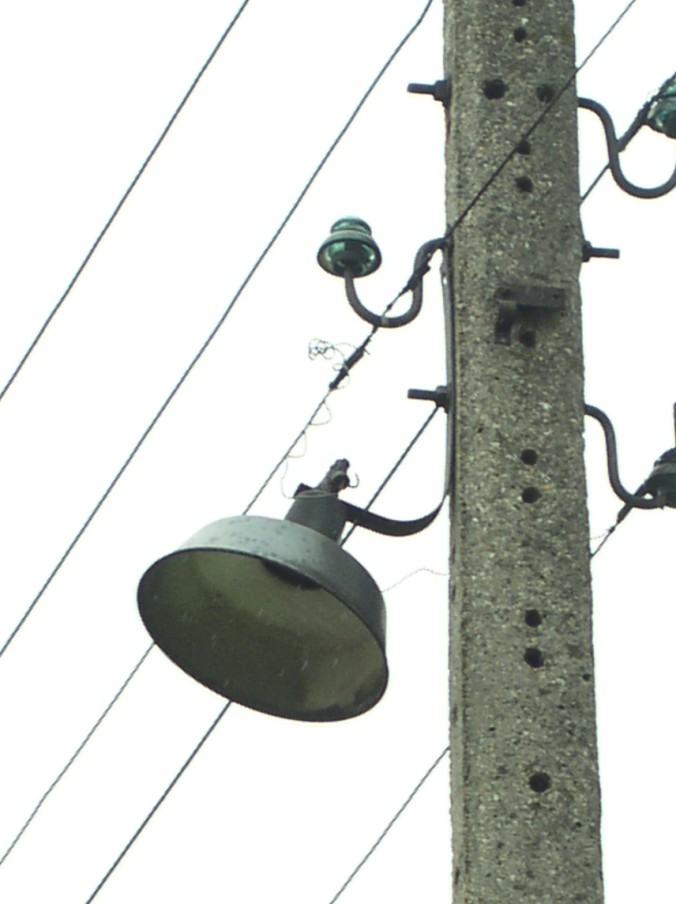 P9010035.jpg