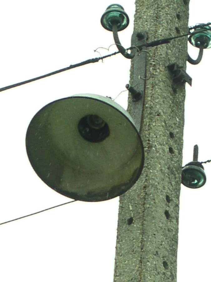 P9010036.jpg