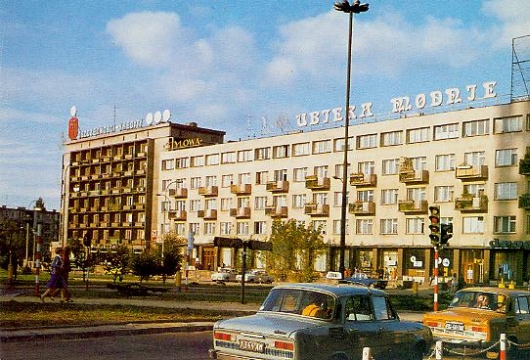 kwiat łyżek.jpg