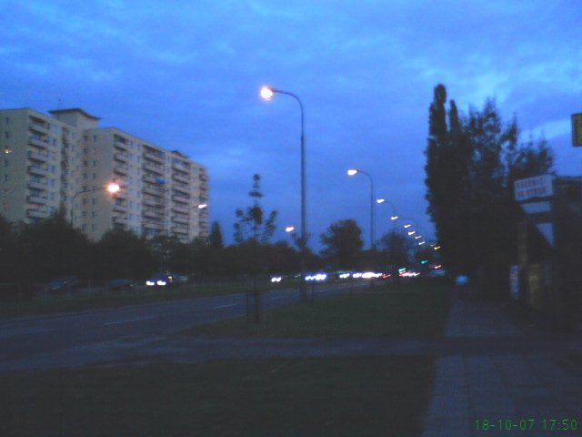 DSC00044.JPG