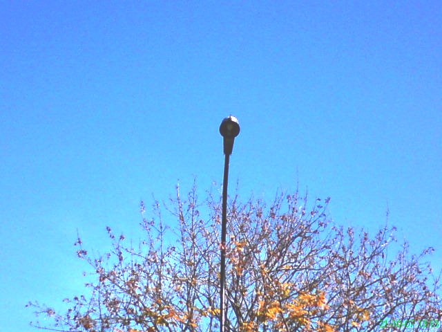 DSC00112.JPG