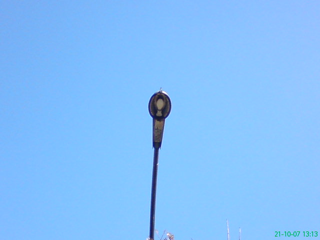DSC00113.JPG
