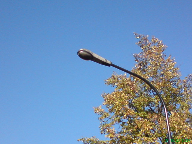 DSC00115.JPG