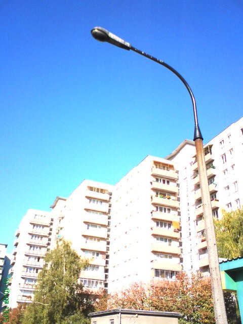 DSC00119.JPG