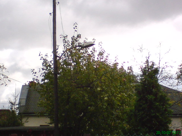 DSC00090.JPG