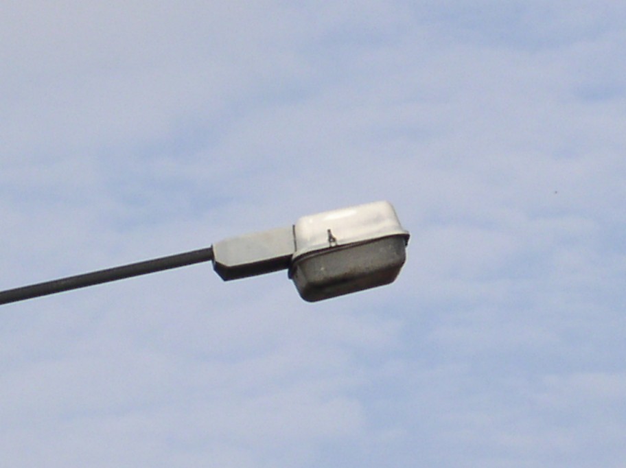 PA270110.jpg