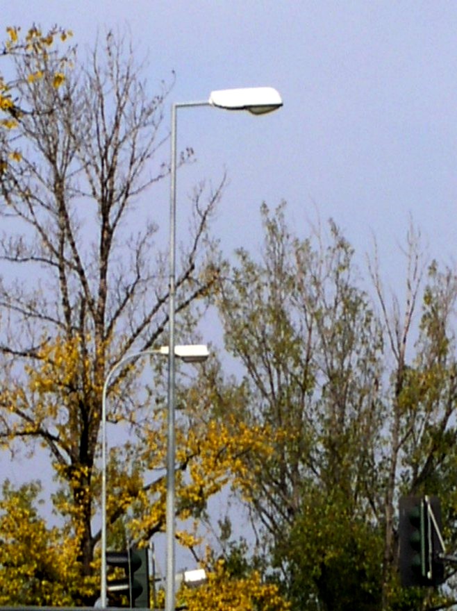 PA270086.jpg