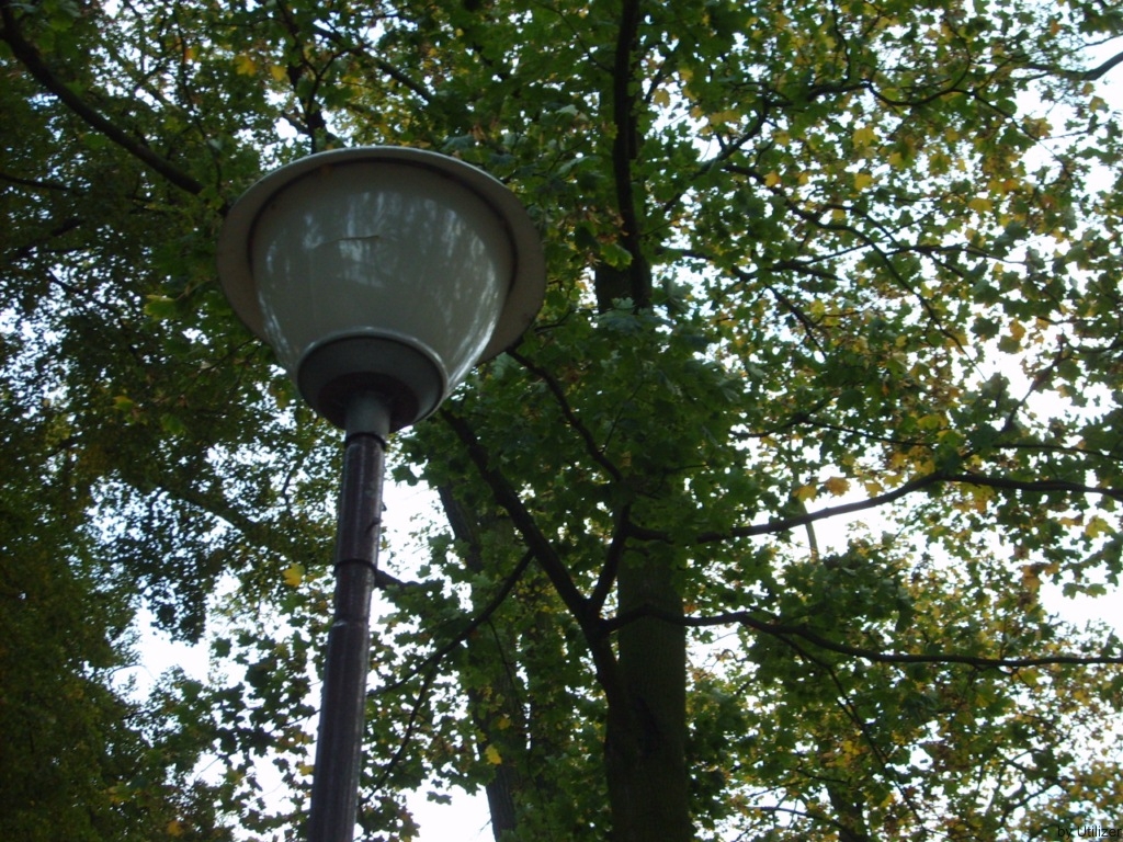 Wągrowiec, nad jeziorem Durowskim