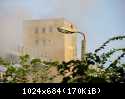 IMG 2393