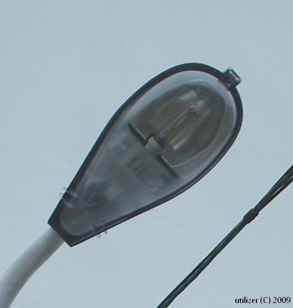 Elgo NOVUM (szkoła)