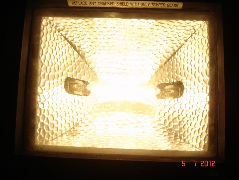 Halogenowa 500W