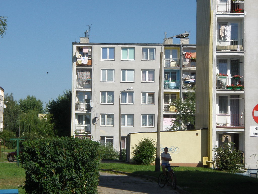 6 klasyk