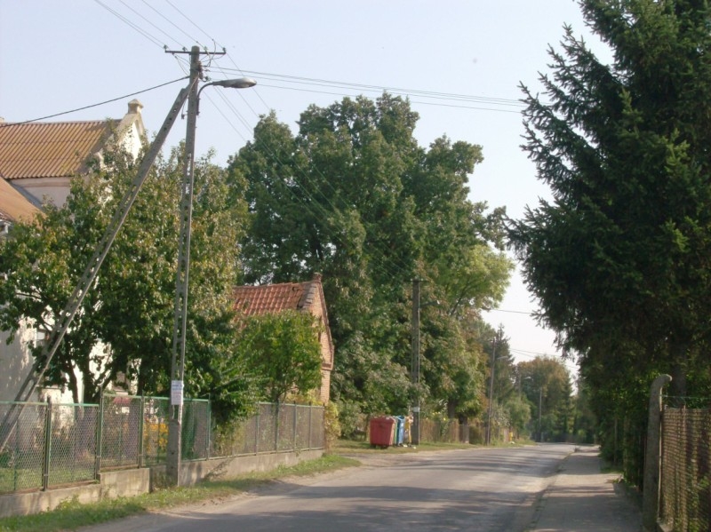 HPIM3231