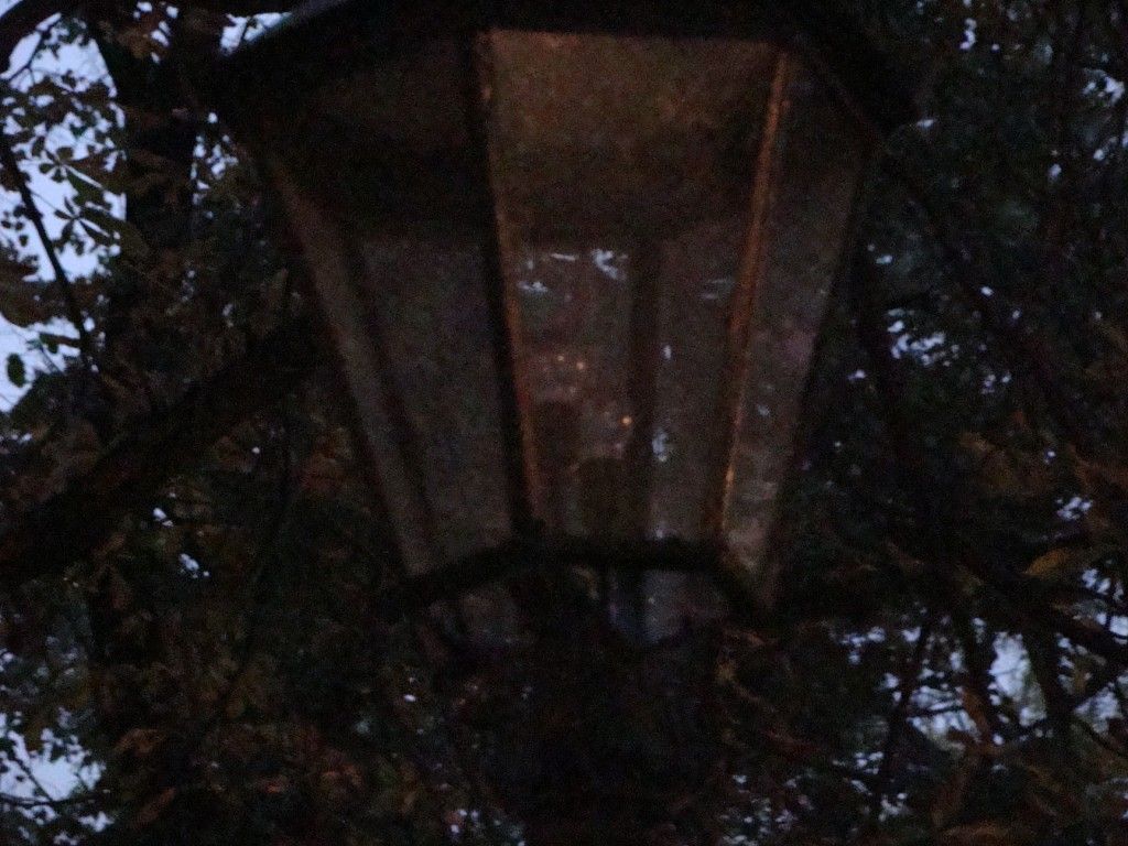 Kraków nocą listopad (5) (1024 x 768).j