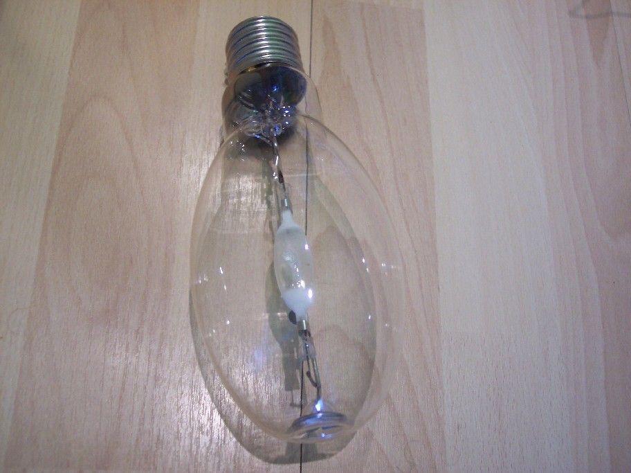 lampyUan