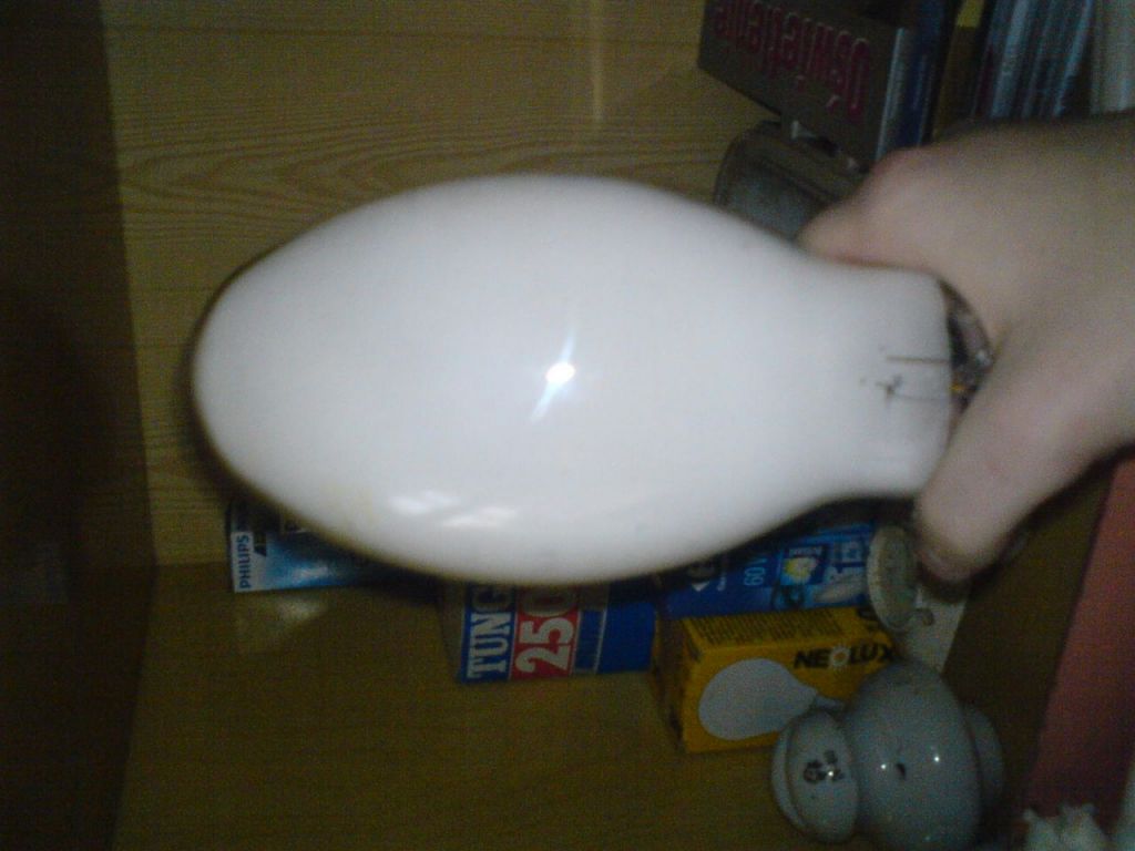 DSC00096