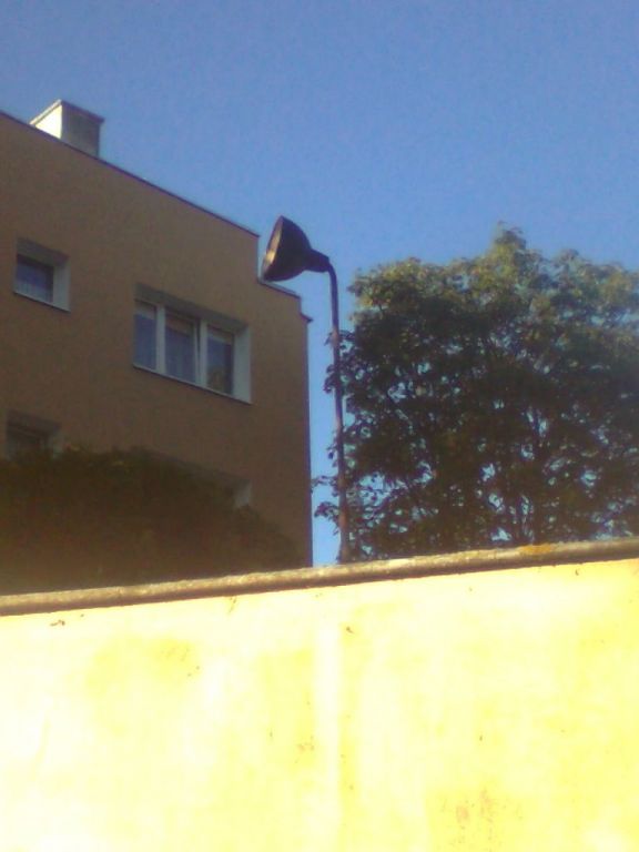 Obraz 077