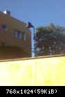 Obraz 077