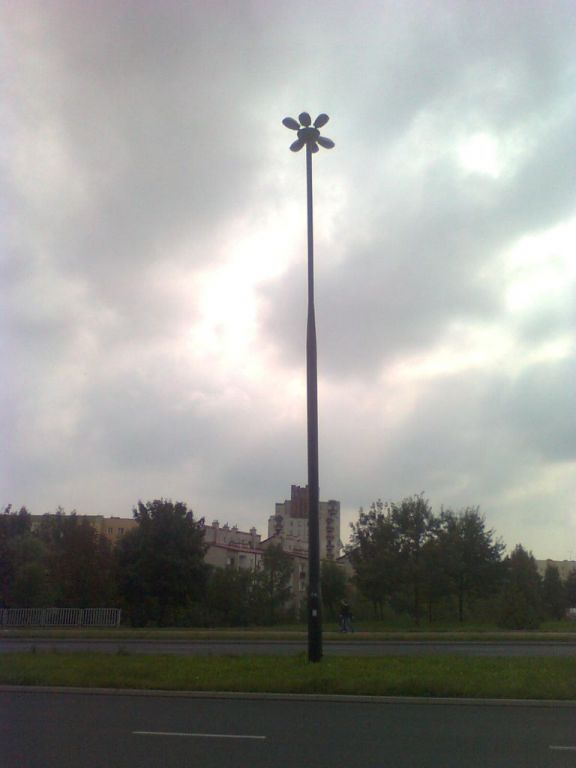 ZdjÄ™cie0646[1].jp