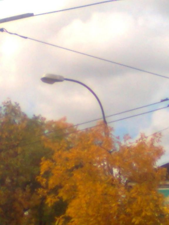 ZdjÄ™cie0707[1].jp