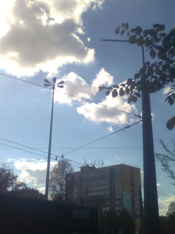 ZdjÄ™cie0833[1].jp
