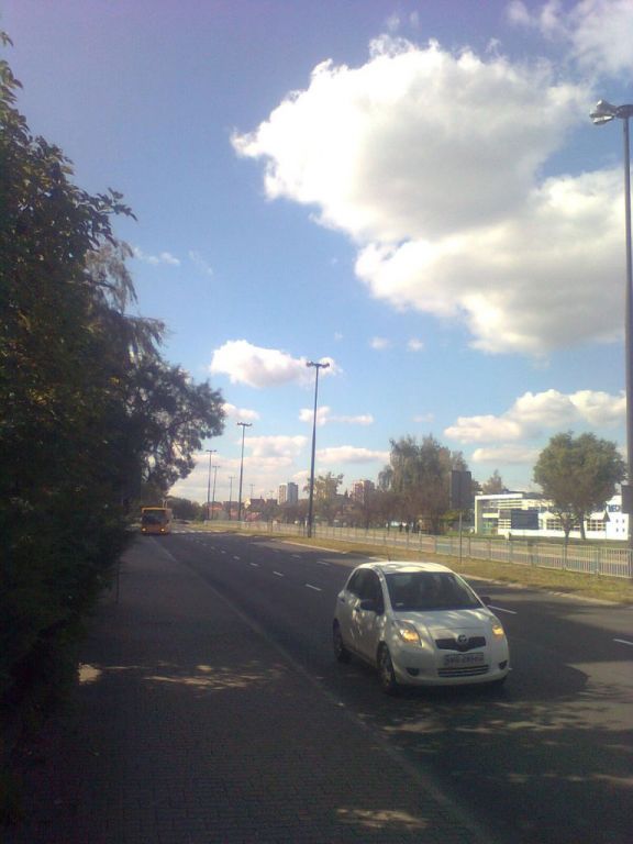 ZdjÄ™cie0824[1].jp