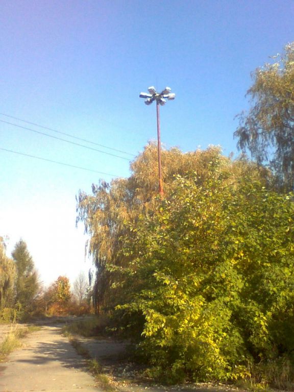 Zdjęcie0939.