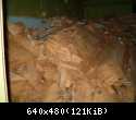 HPIM0390