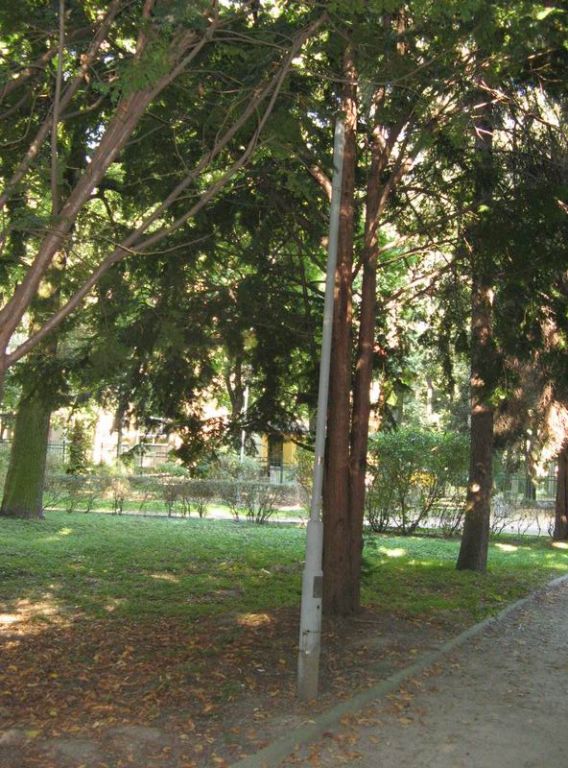 Park w Jarosławiu1