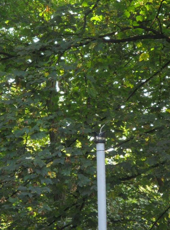 Park w Jarosławiu7