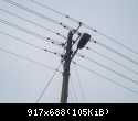 100 3515