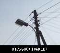100 3943