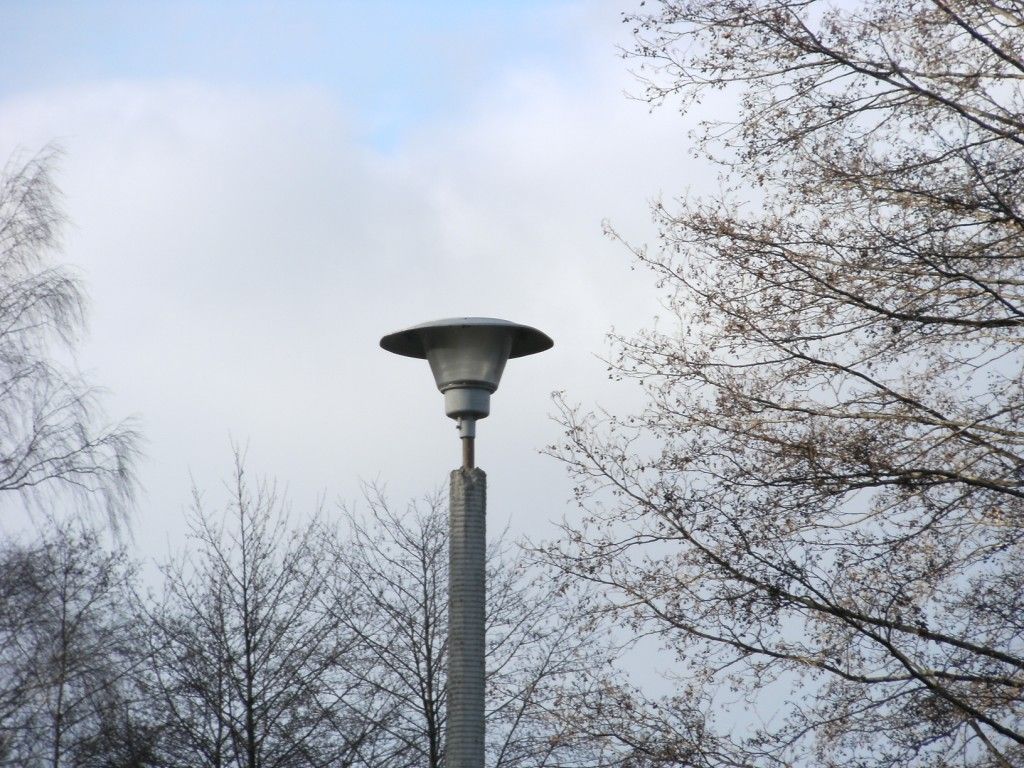 DSCF0019