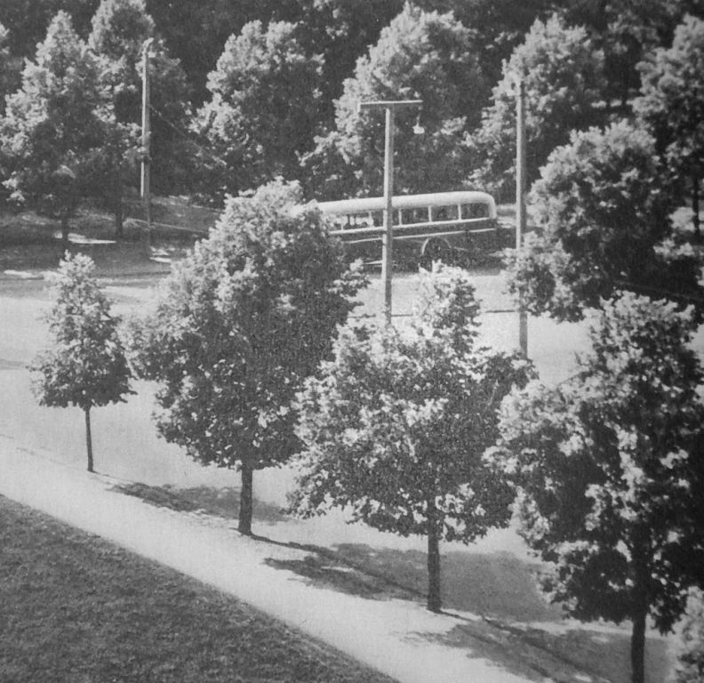 Toruń 1956