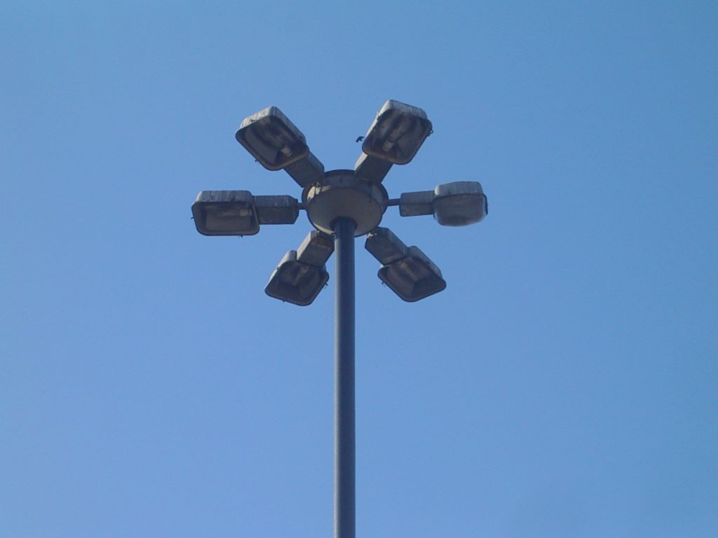 kwiatek
