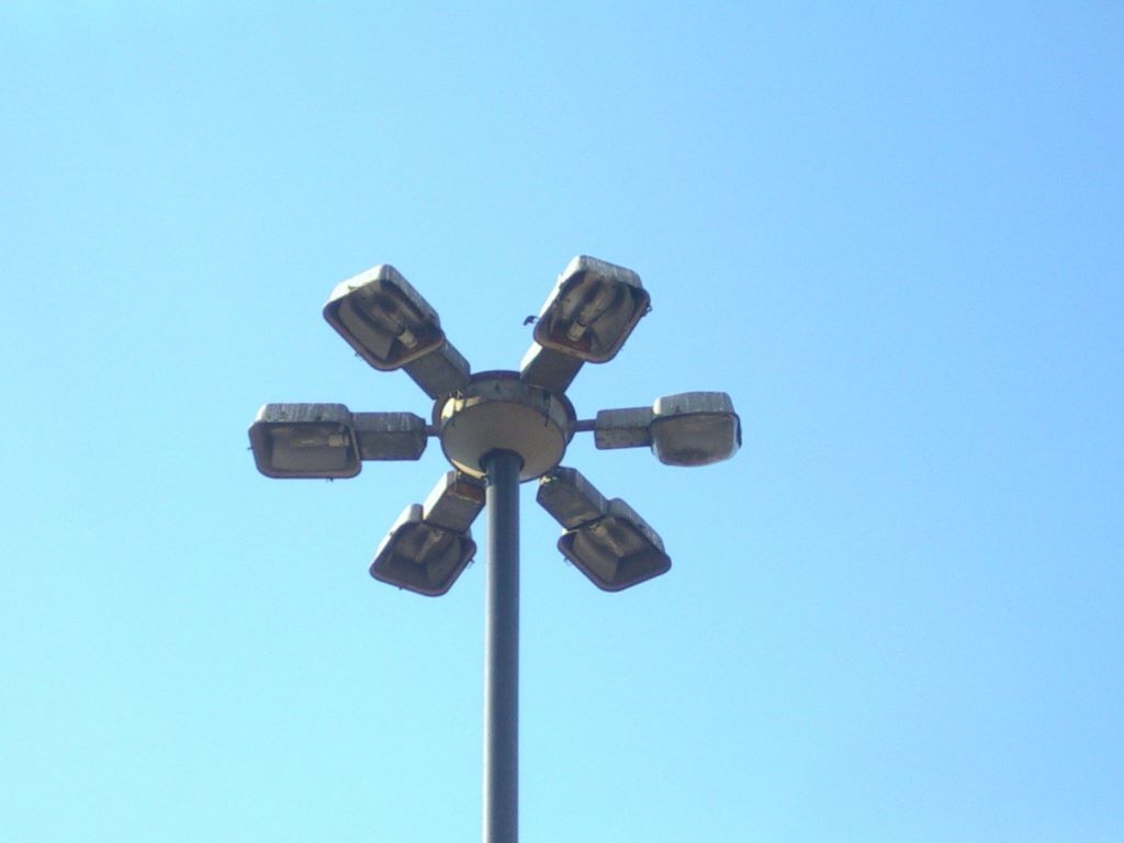 kwiatek