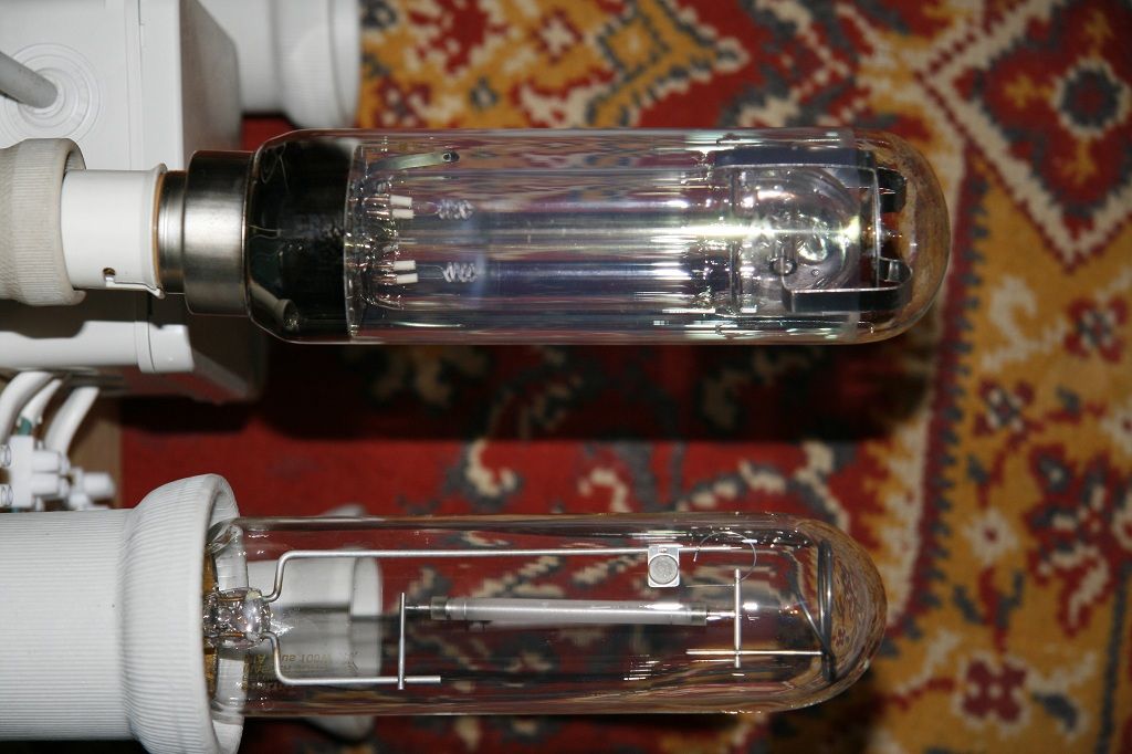  MG 6764
