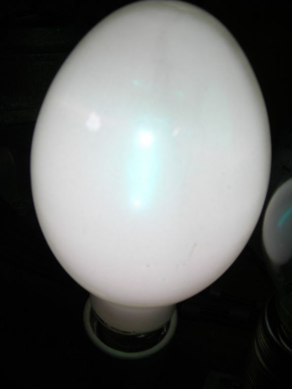 DSCN6341