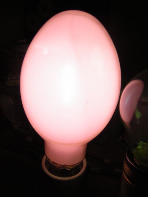 DSCN6345
