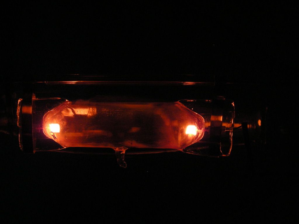 DSCN6385