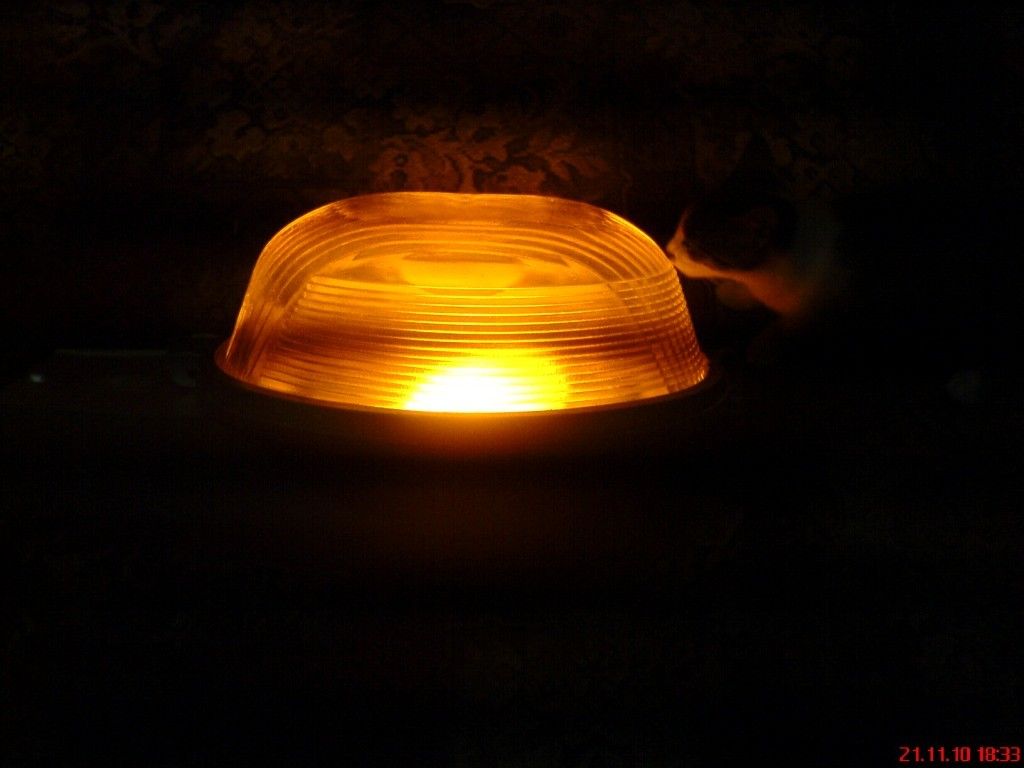 DSC06999