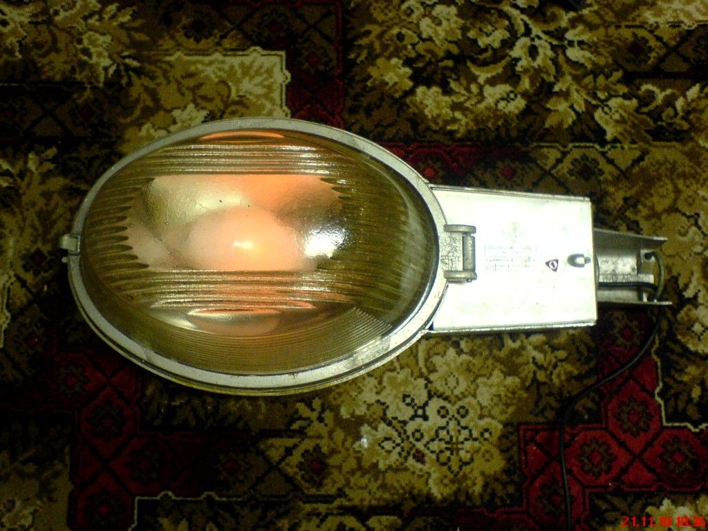 DSC07000